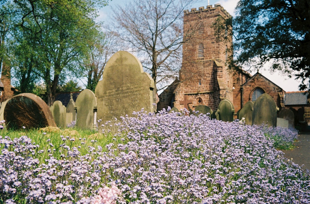 a cemetery with purple flowers in the foreground and a church in the background