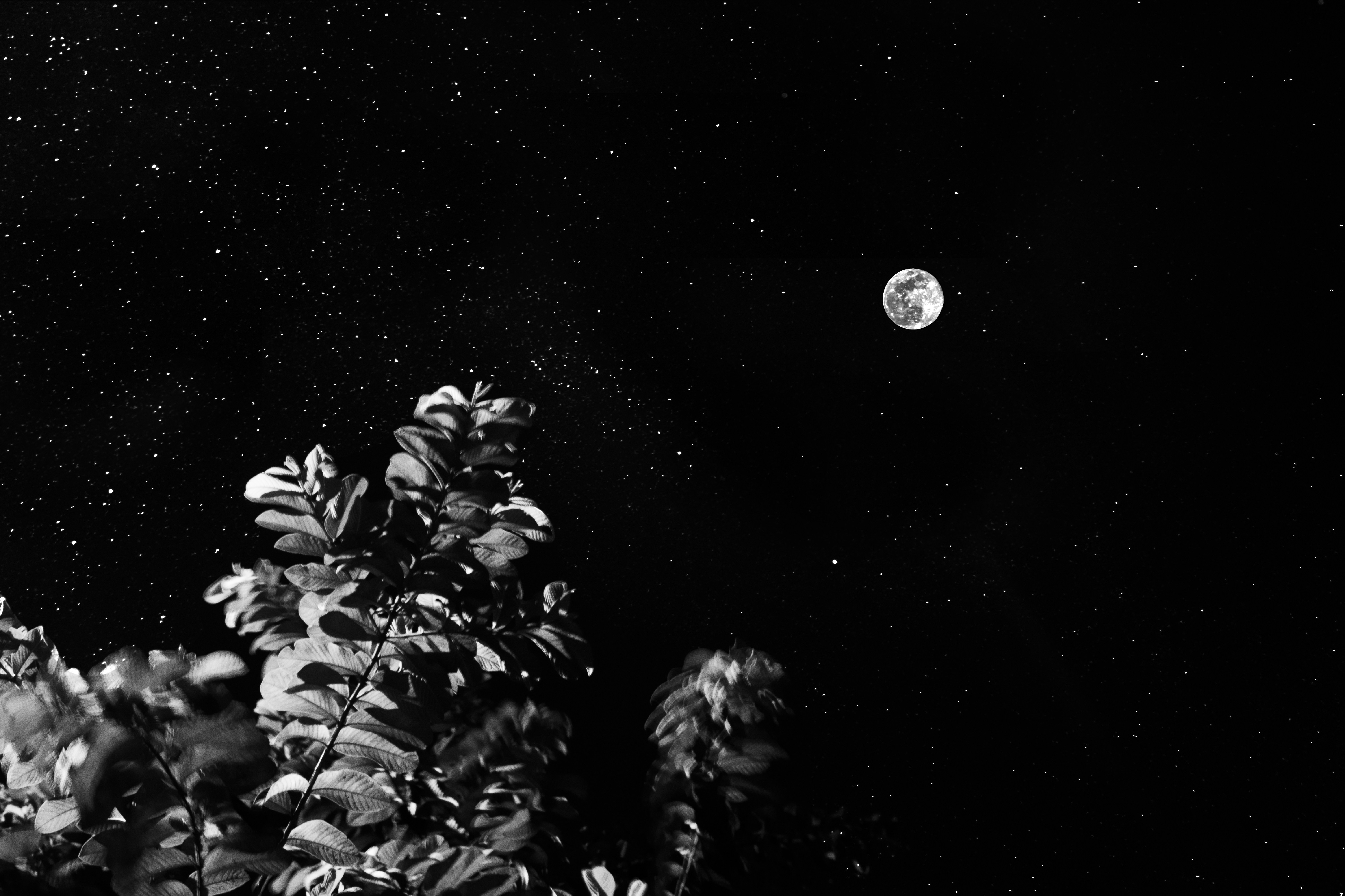 a black and white photo of a full moon