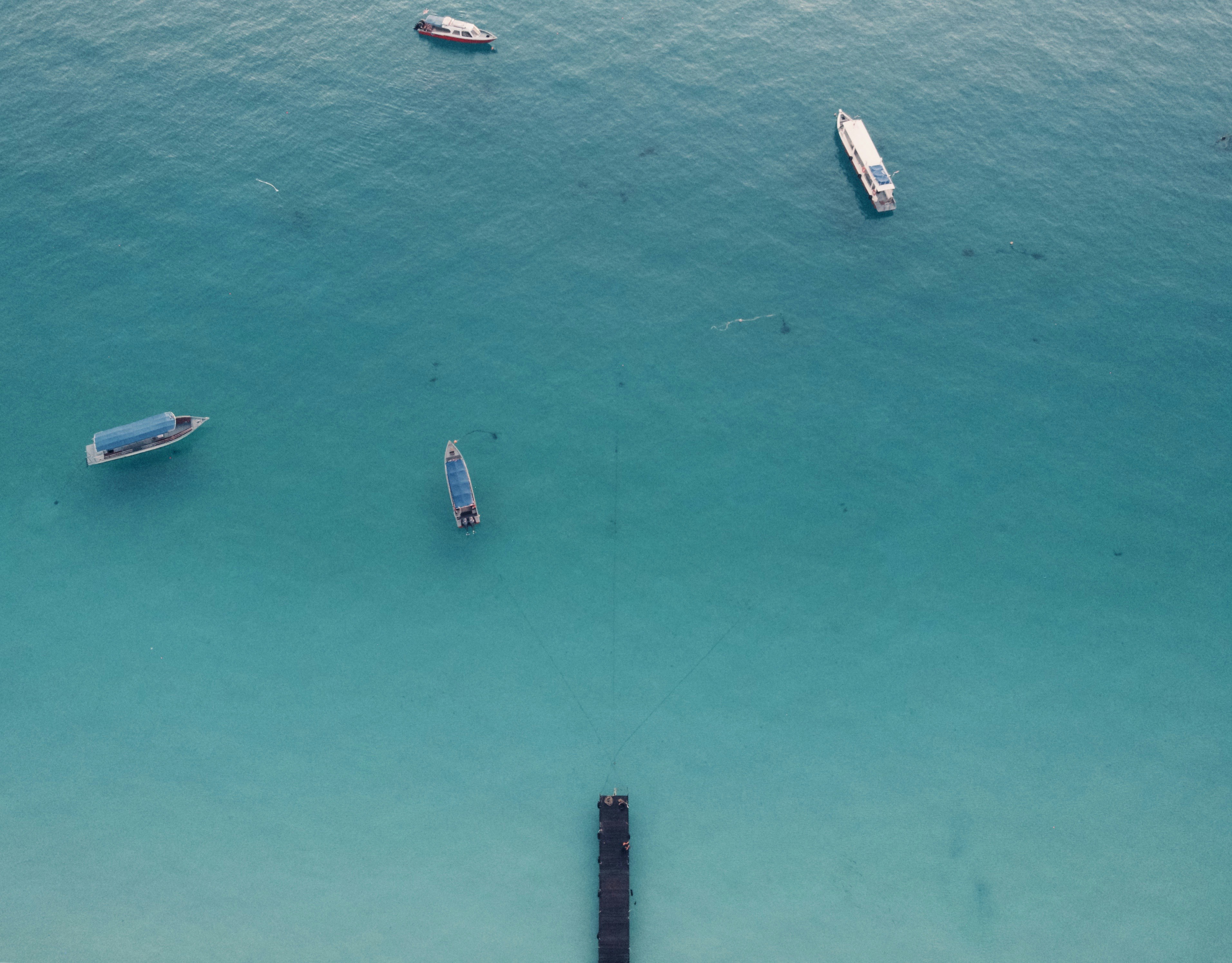 Photo by ll_zblack_ll