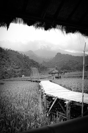 A wooden path leads through a lush field towards small traditional huts. The scene is framed by dense green mountains under a cloudy sky, creating a harmonious blend of nature and rustic architecture.