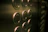 Close-up of a sleek silver elevator panel with illuminated buttons inside a building lobby.