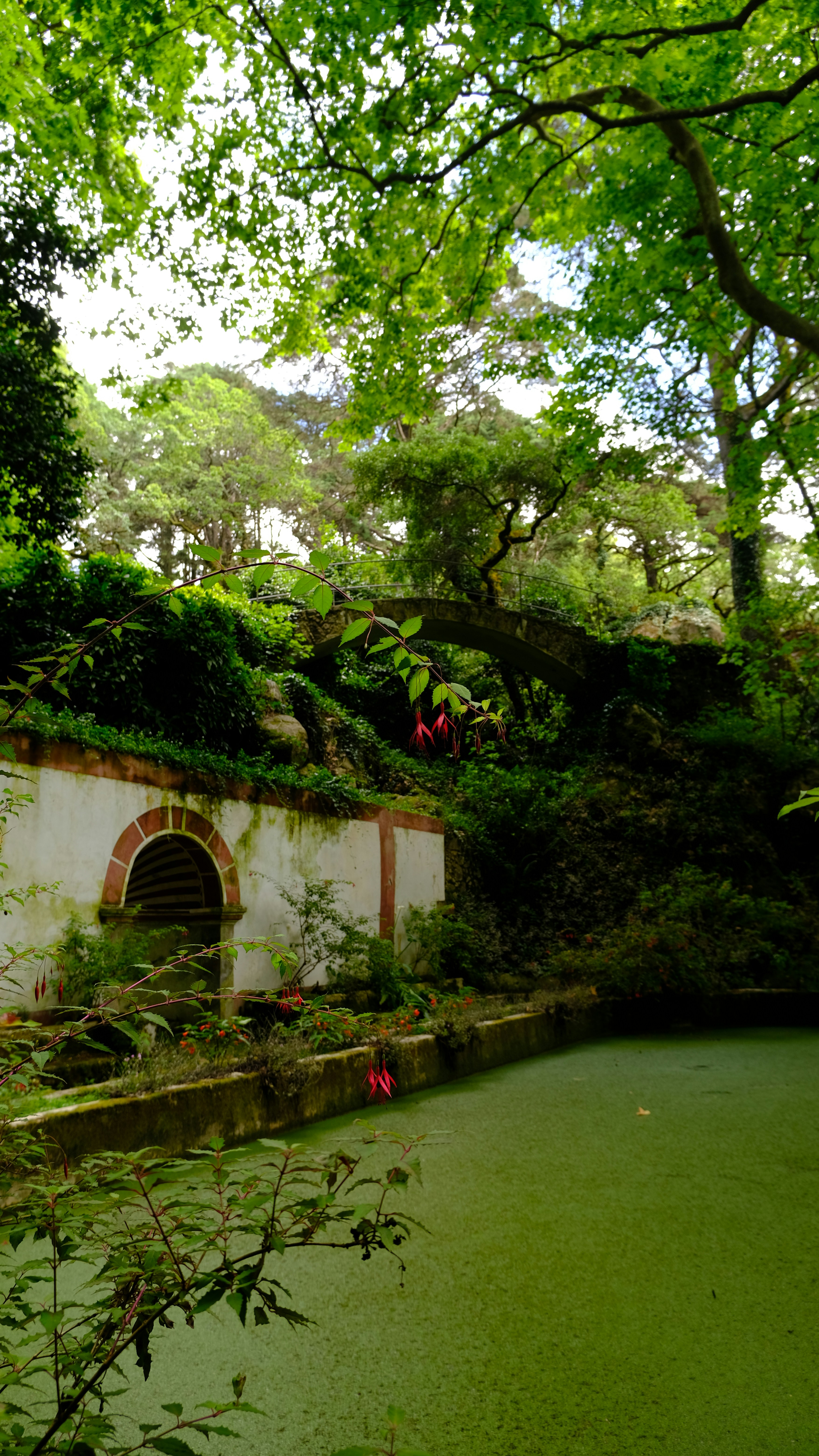 Photo by manrason