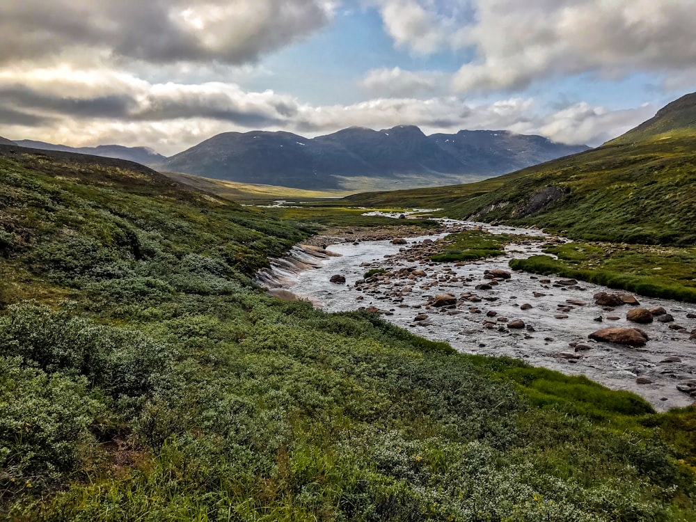 a river running through a lush green valley