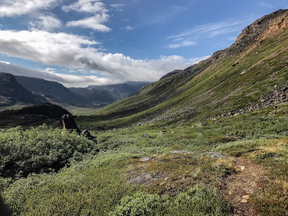 a view of a valley with mountains in the background