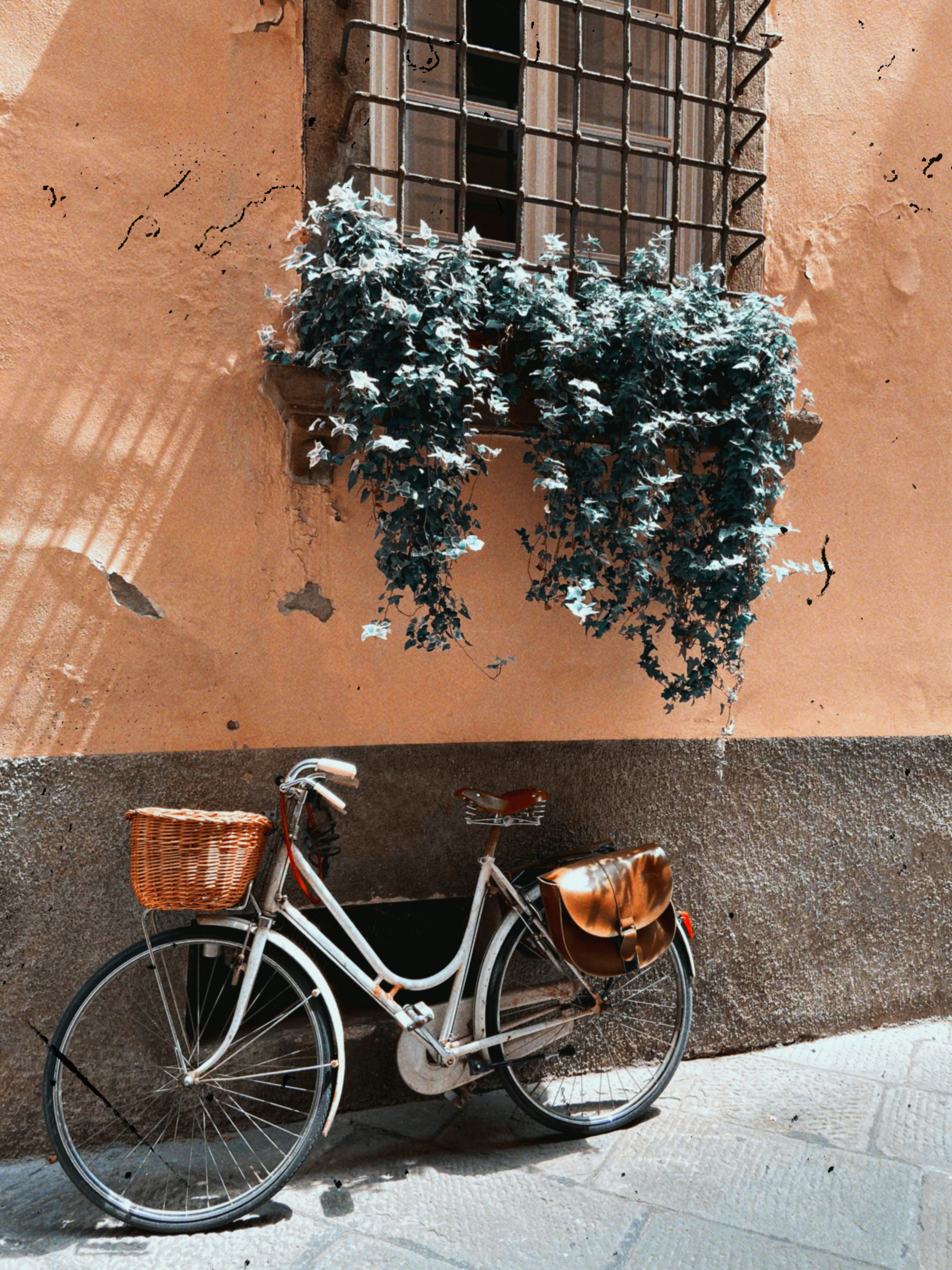 Photo by milendir
