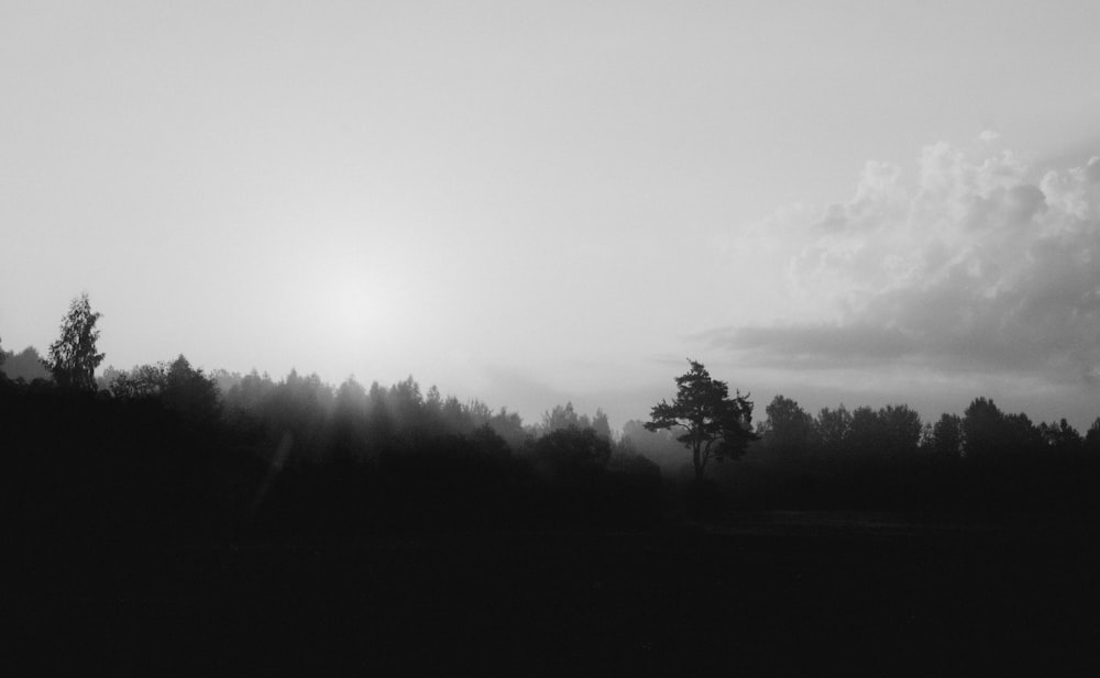 Una foto in bianco e nero del sole che splende tra le nuvole