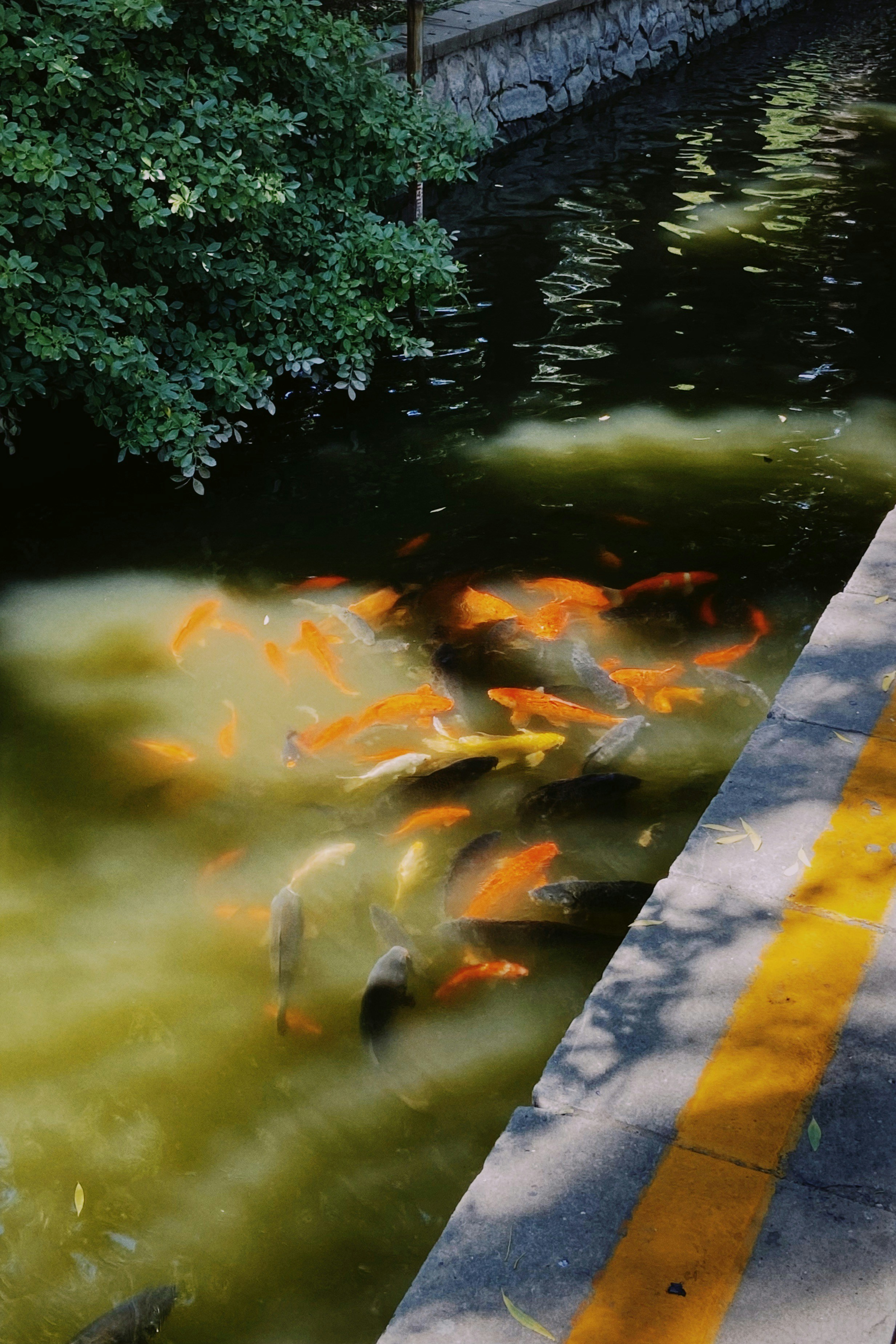 Photo by heylindaaaaa