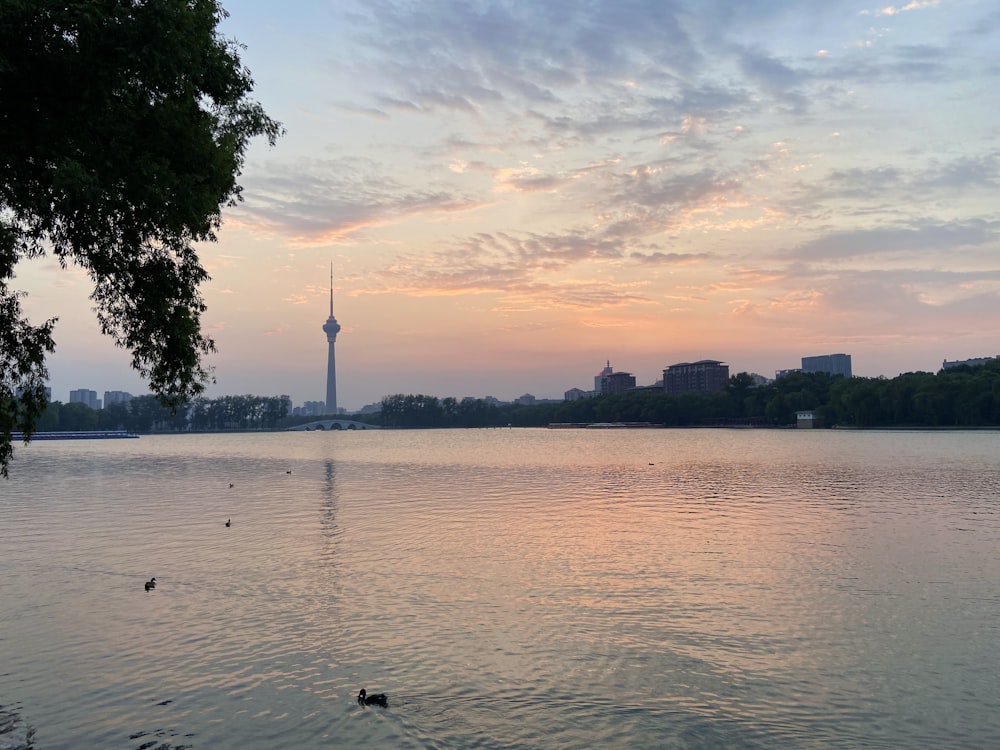 a large body of water with a tower in the background