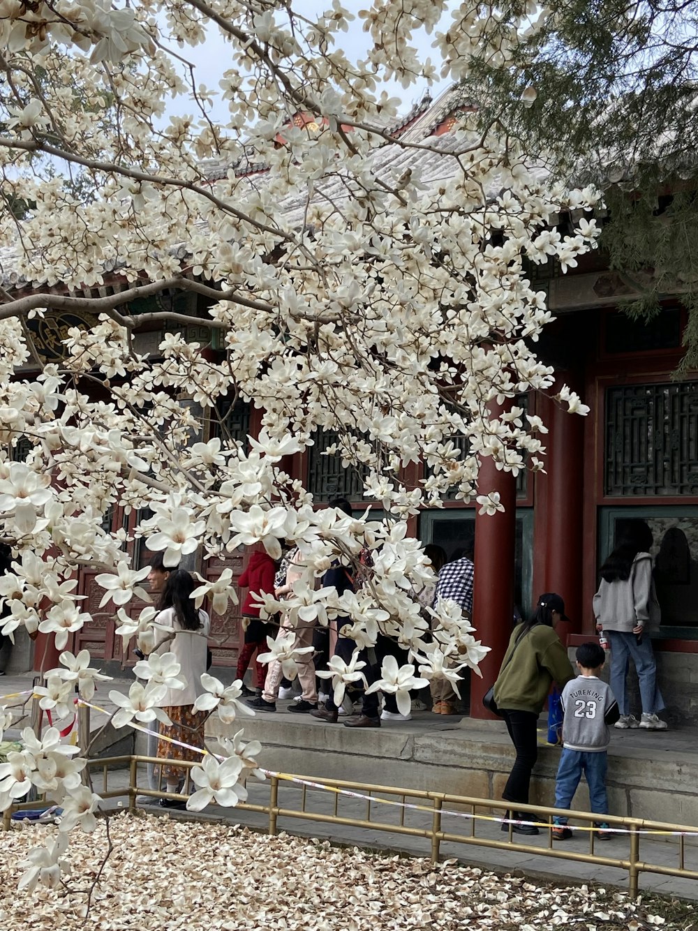 a group of people standing around a tree in front of a building