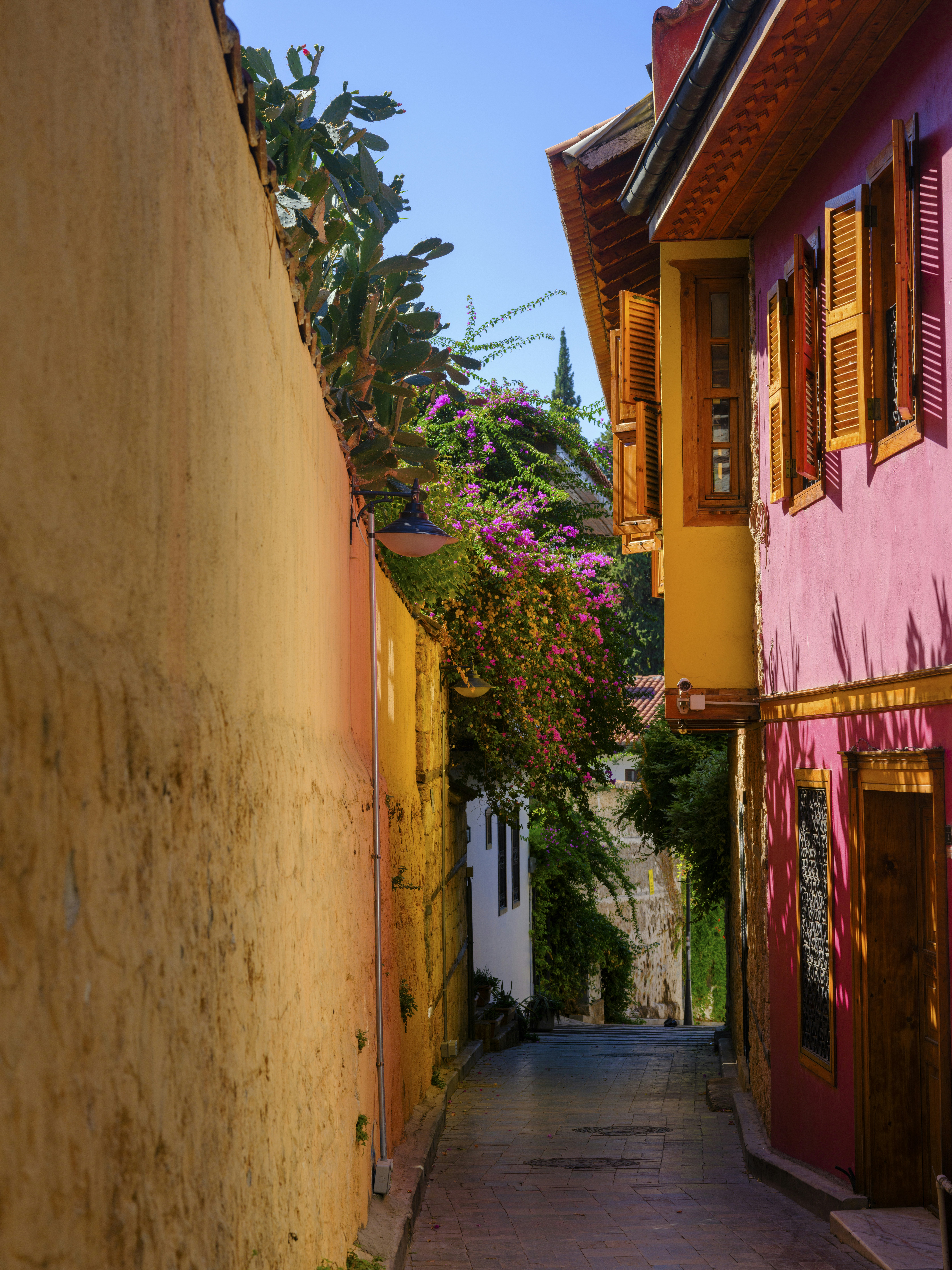 Photo by enginakyurt