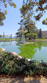Outdoor garden scene featuring a cement fountain surrounded by greenery