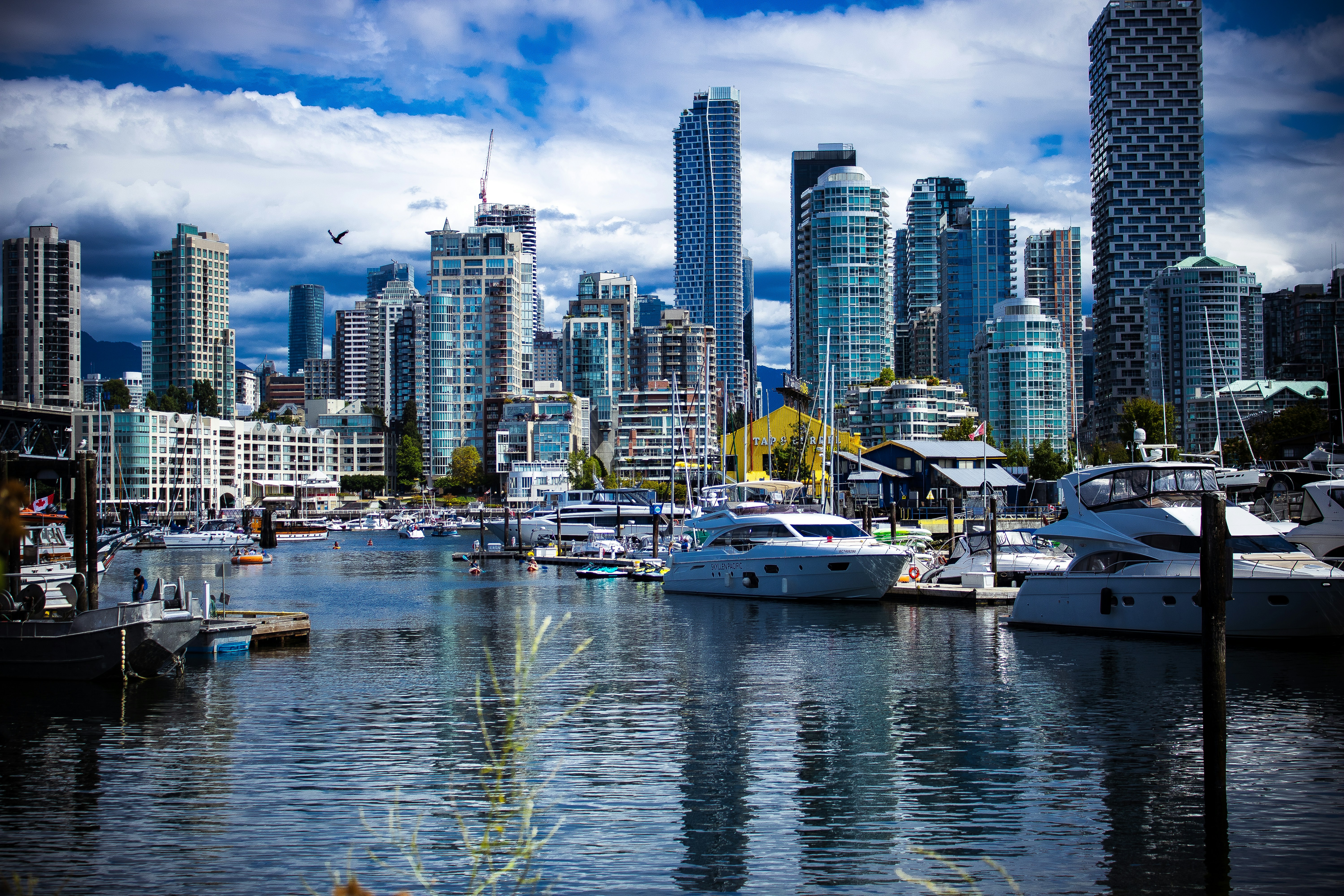 Photo by efemenaegona