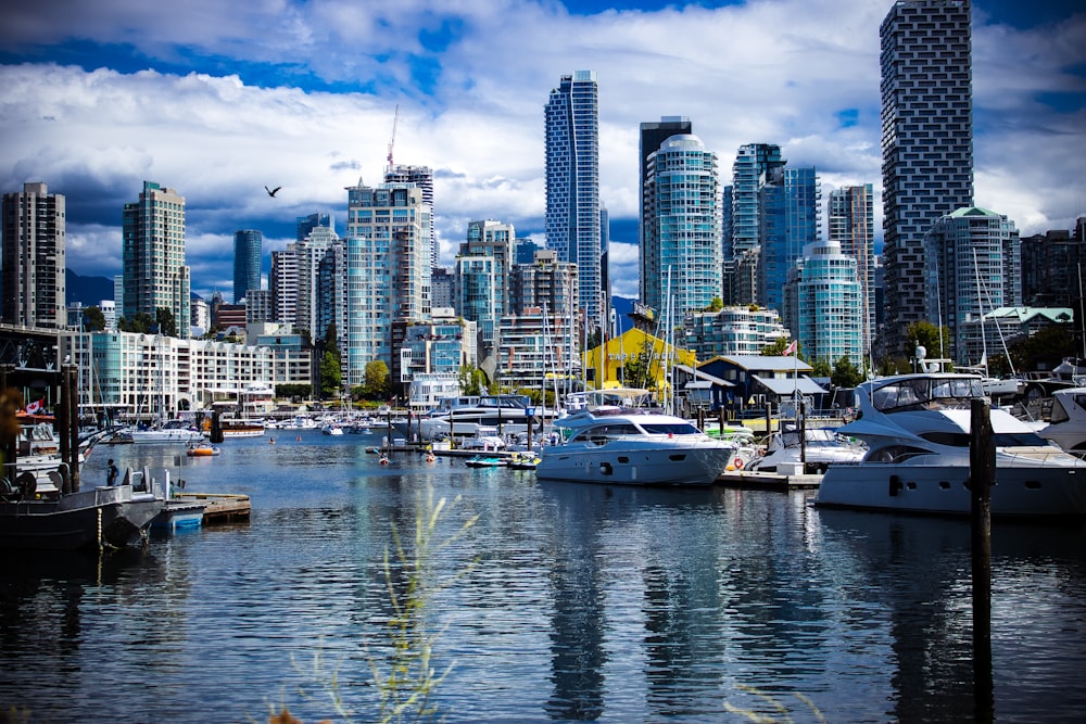 a harbor filled with lots of boats next to tall buildings