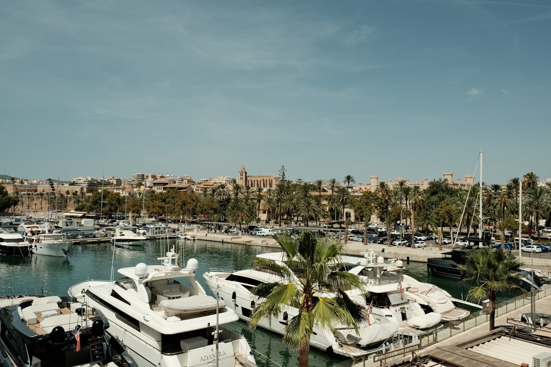 a marina filled with lots of white boats