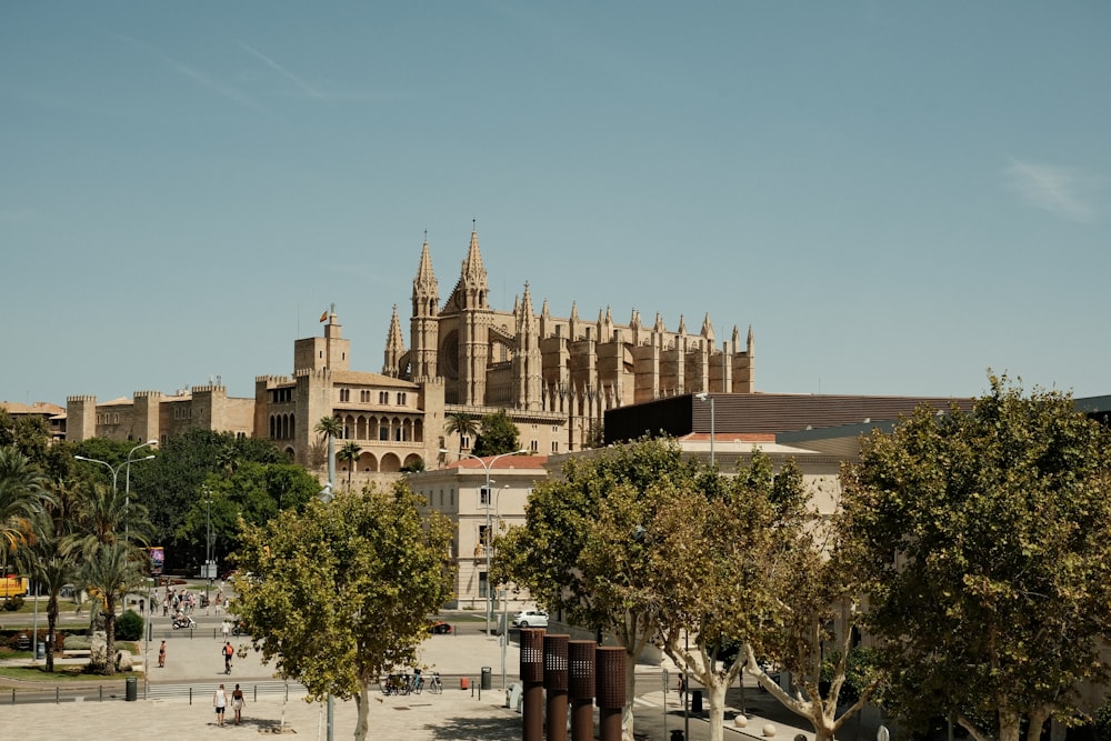 a large cathedral towering over a city next to trees