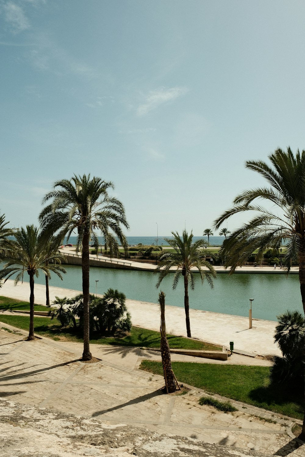 a view of a beach with palm trees and a body of water