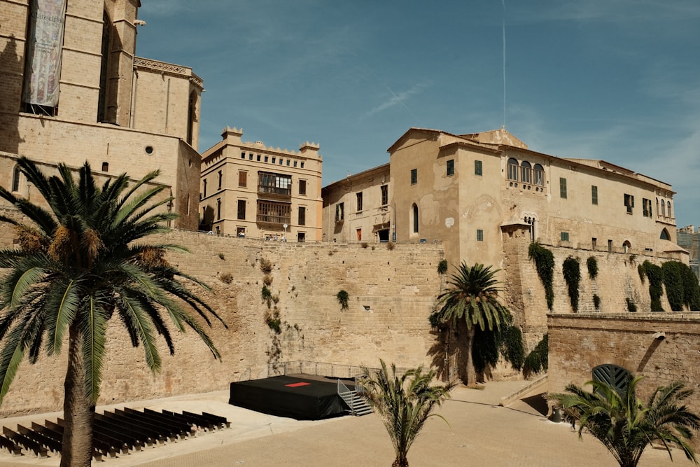 a building with palm trees in front of it