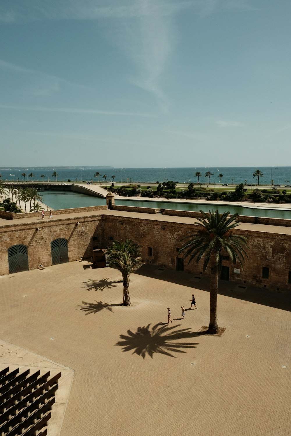 a palm tree in a courtyard next to a body of water