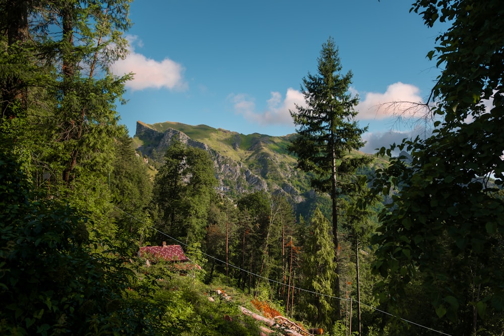 a house in the middle of a forest with a mountain in the background