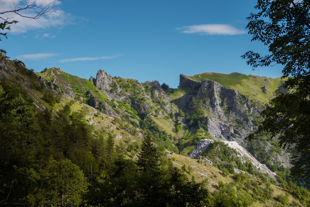 a scenic view of a mountain range with trees