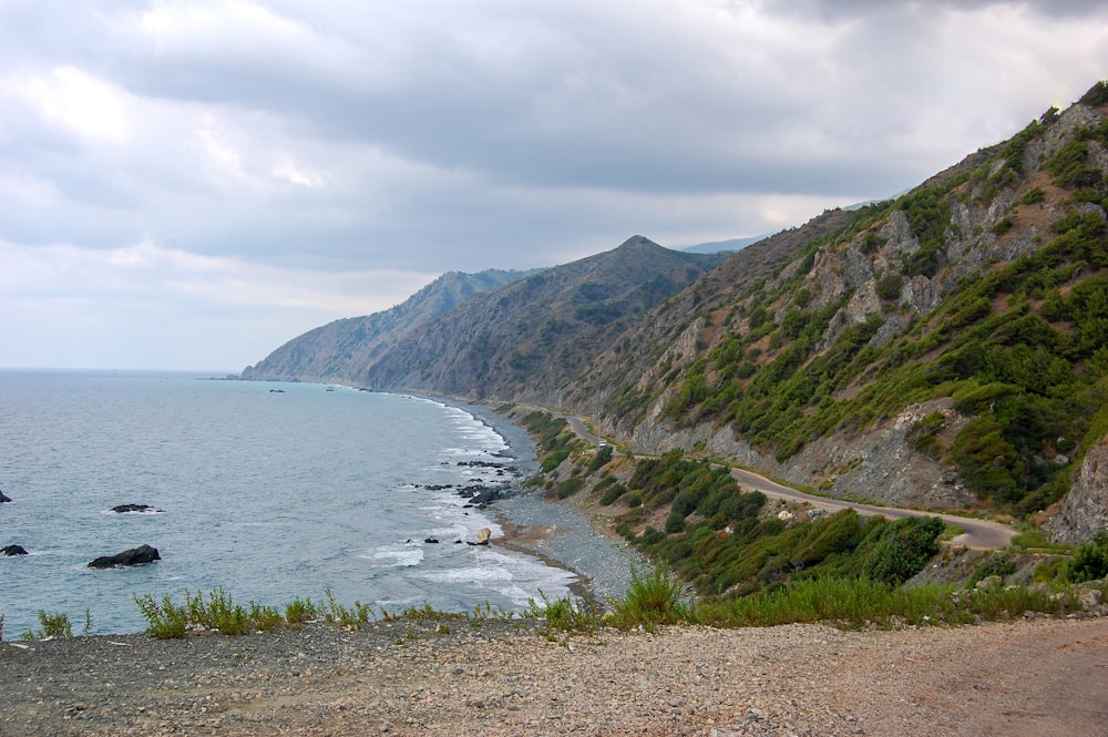 a scenic view of the ocean and a road