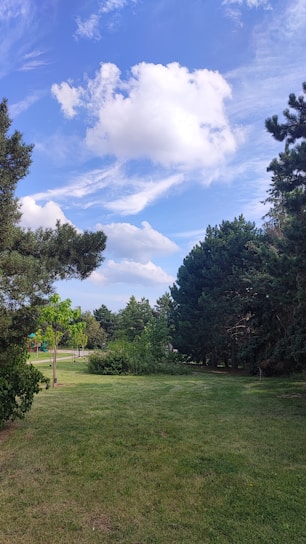 A scenic view of a plot of land with clear sky and green grass