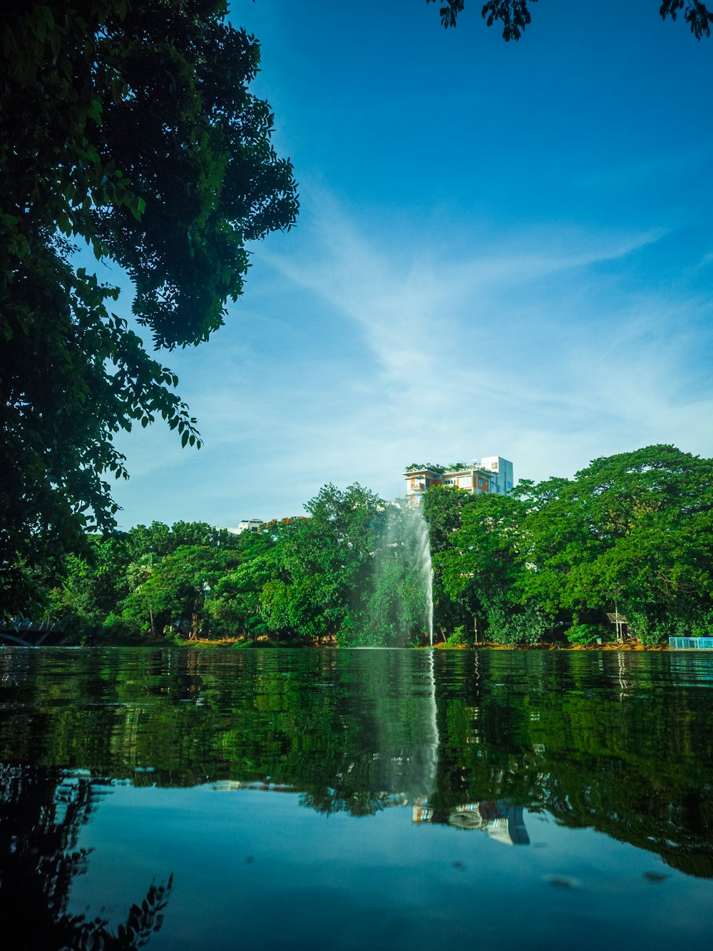 a large body of water surrounded by trees