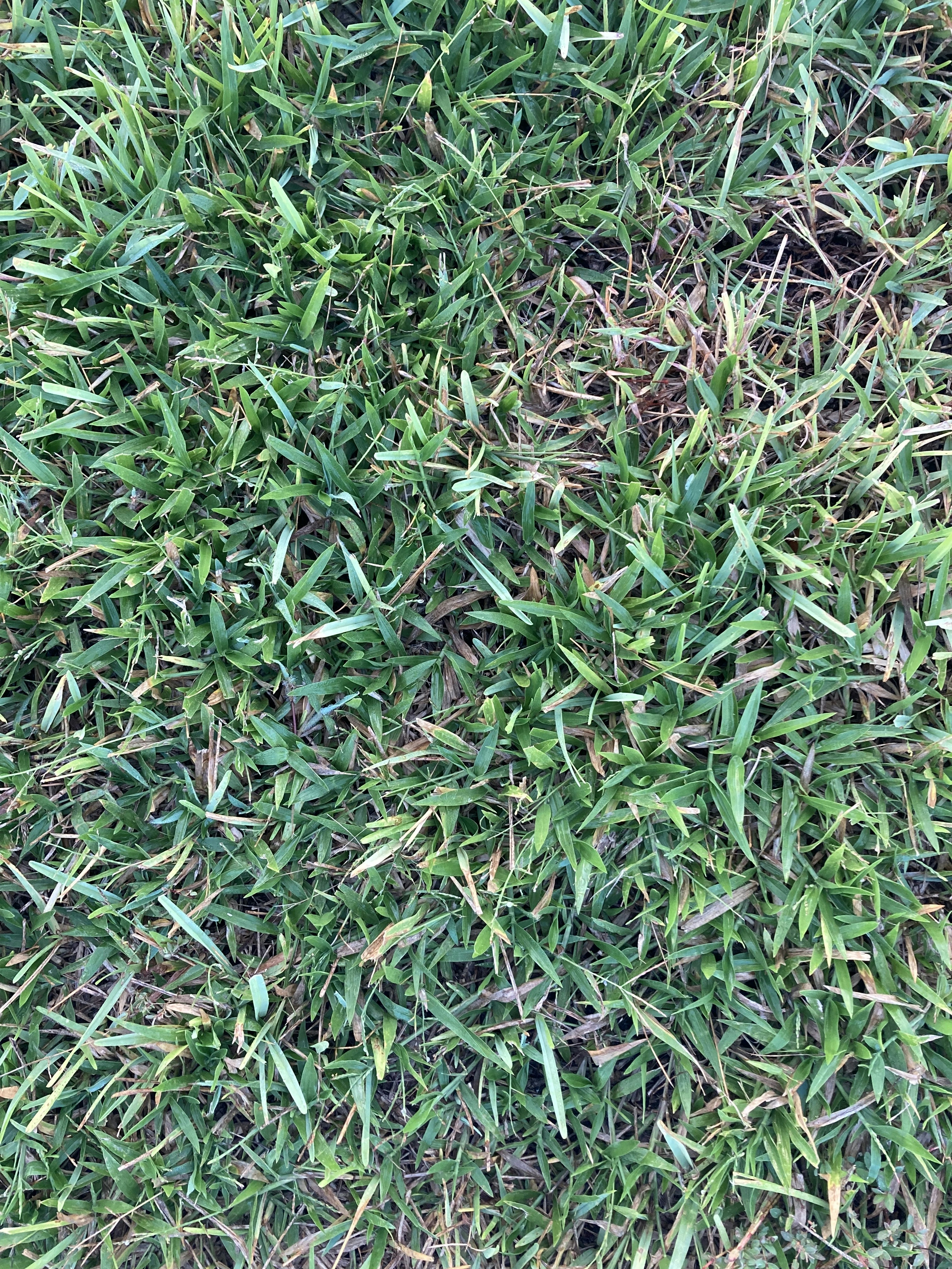 Photo by iwillhauntyou