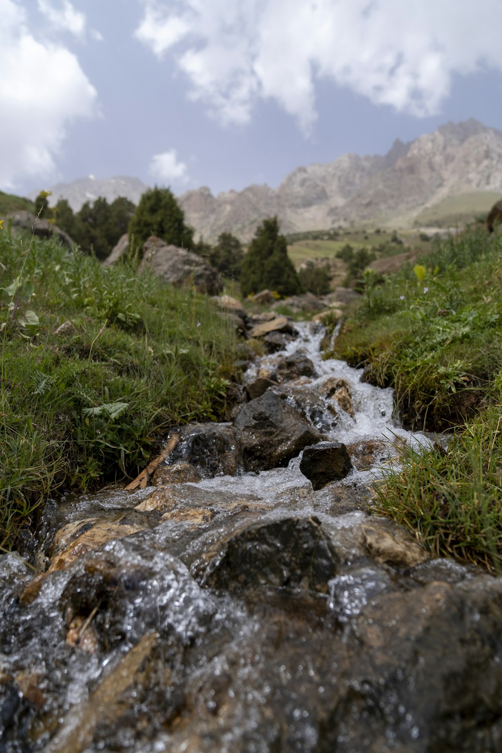 a stream running through a lush green hillside
