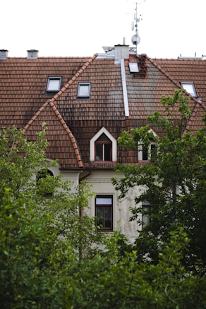 A section of a residential building with a steep, red-tiled roof featuring multiple skylights and a chimney. An antenna or satellite dish is visible on the roof. Dense green foliage partially obscures the lower part of the building, suggesting a suburban or garden setting.