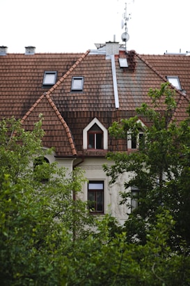 A section of a residential building with a steep, red-tiled roof featuring multiple skylights and a chimney. An antenna or satellite dish is visible on the roof. Dense green foliage partially obscures the lower part of the building, suggesting a suburban or garden setting.