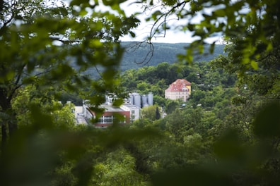 Exterior view of the lodging surrounded by lush greenery and natural park scenery.