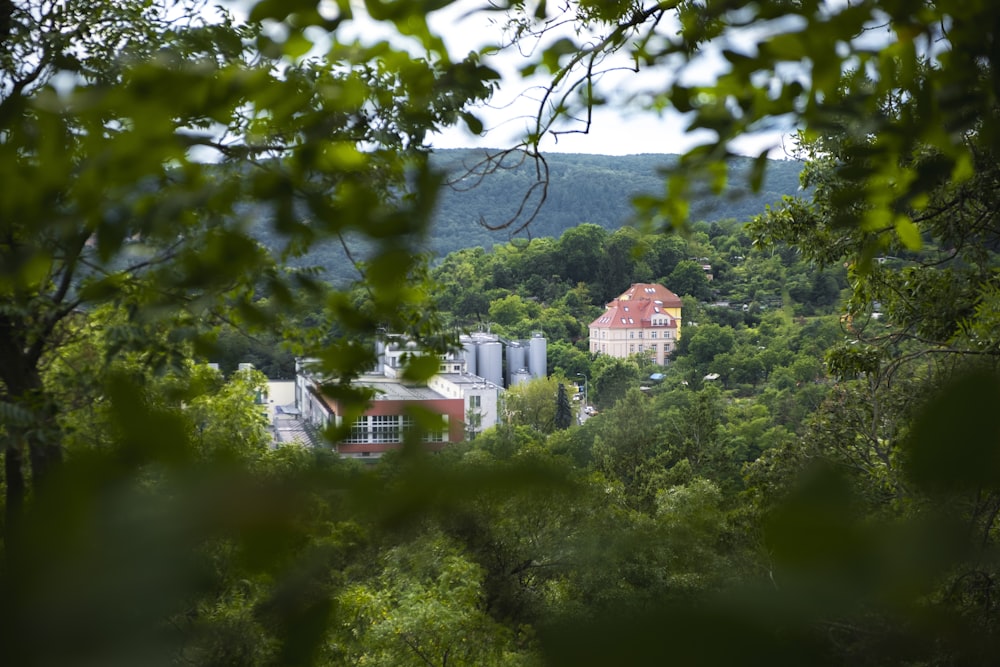 a view of a house through the trees