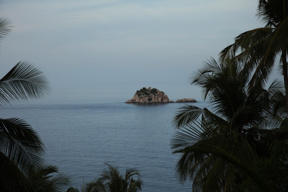 a small island in the middle of a body of water