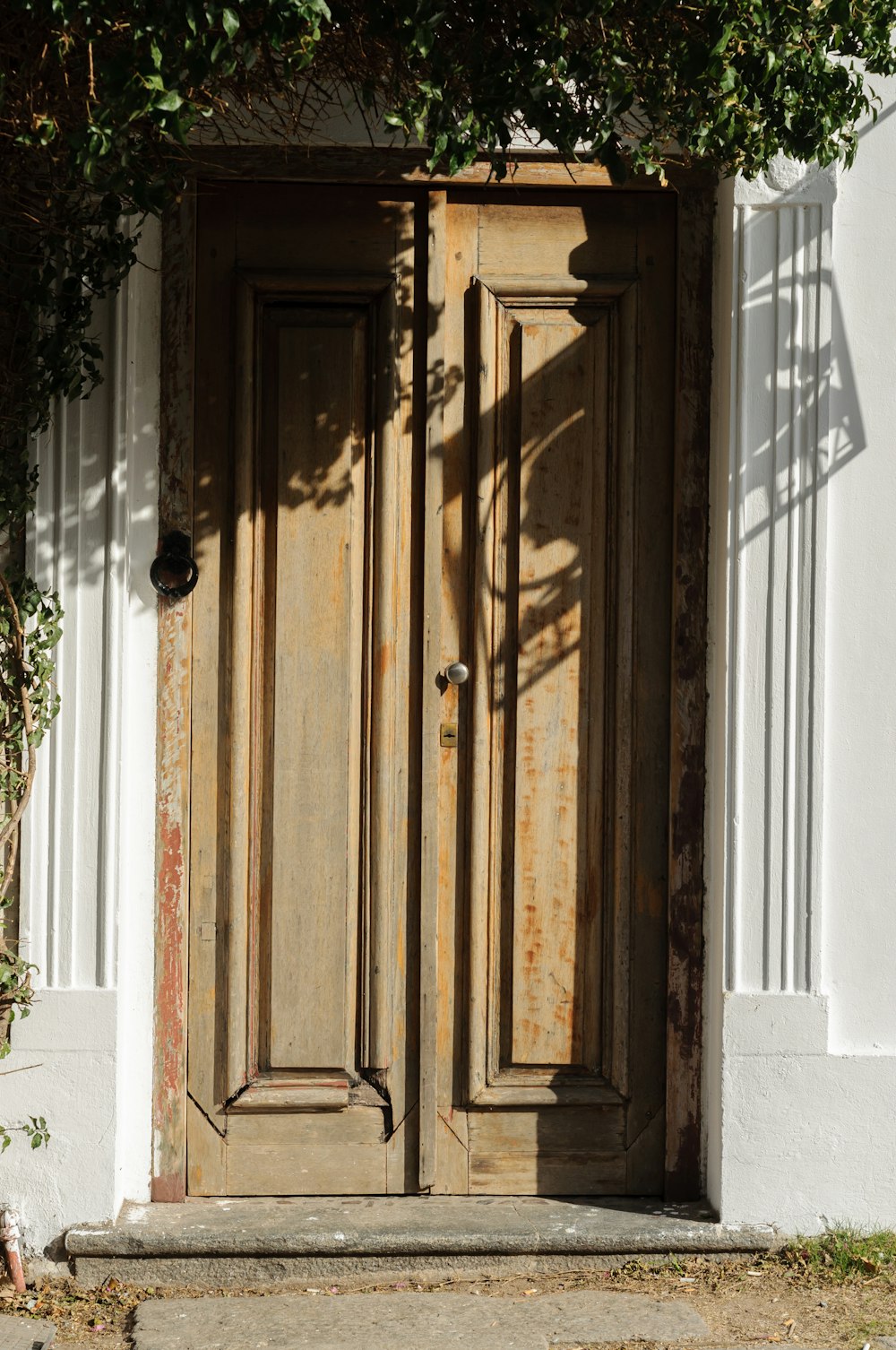 an old wooden door with vines growing over it