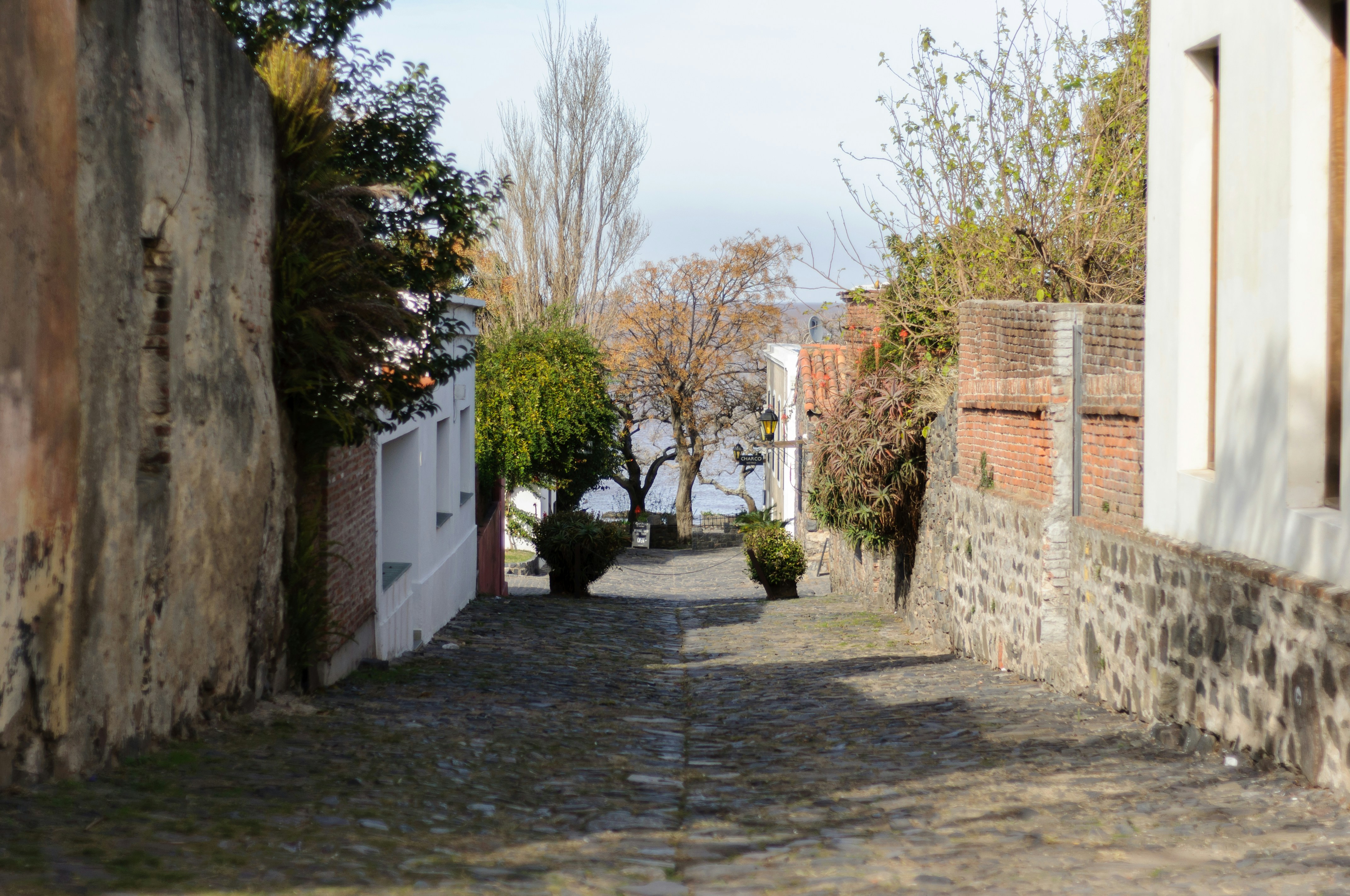 Espacio Dionisio Díaz