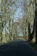 a street lined with trees and a yellow sign