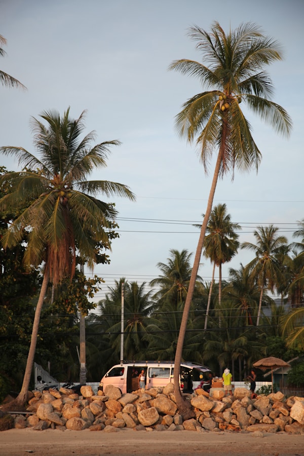 Surat Thani Weather and Best Months to Visit Guide