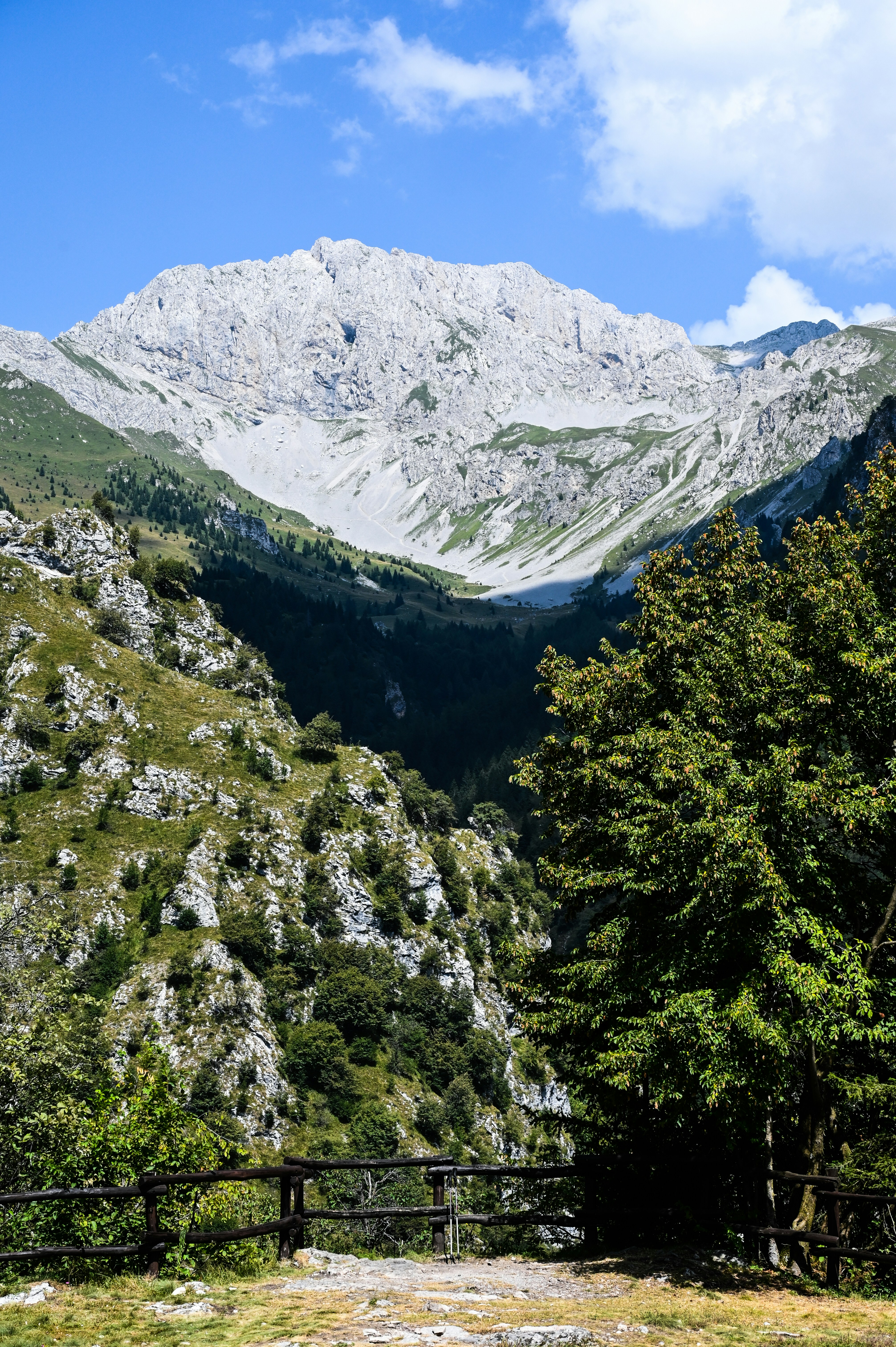 a view of a mountain range with trees and mountains in the background