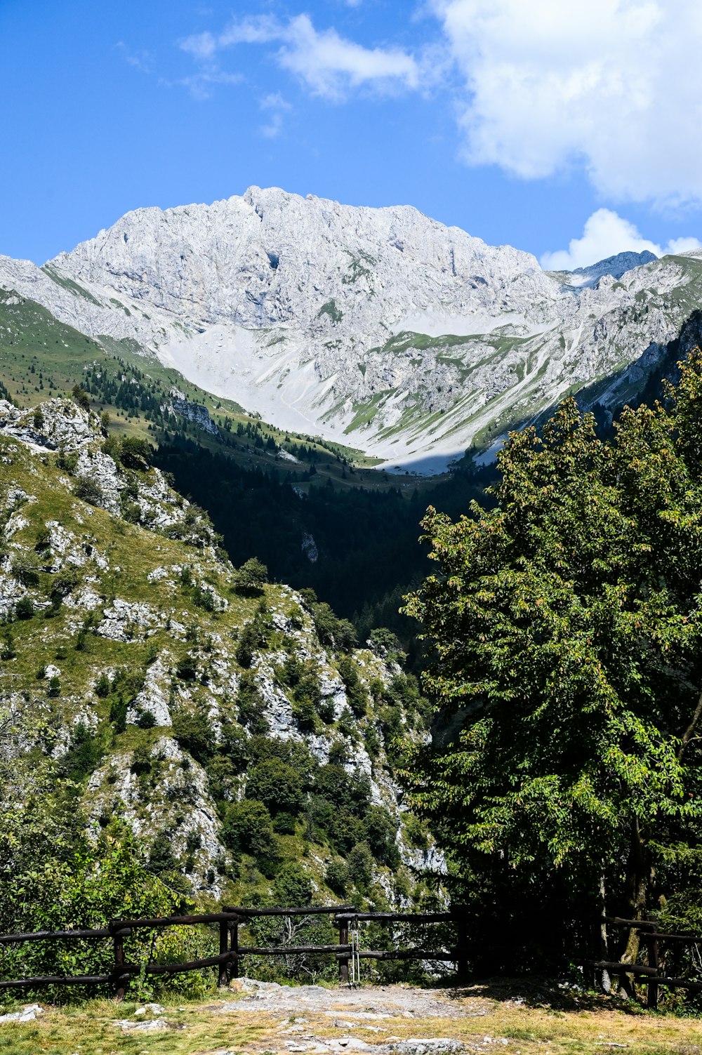 a view of a mountain range with trees and mountains in the background