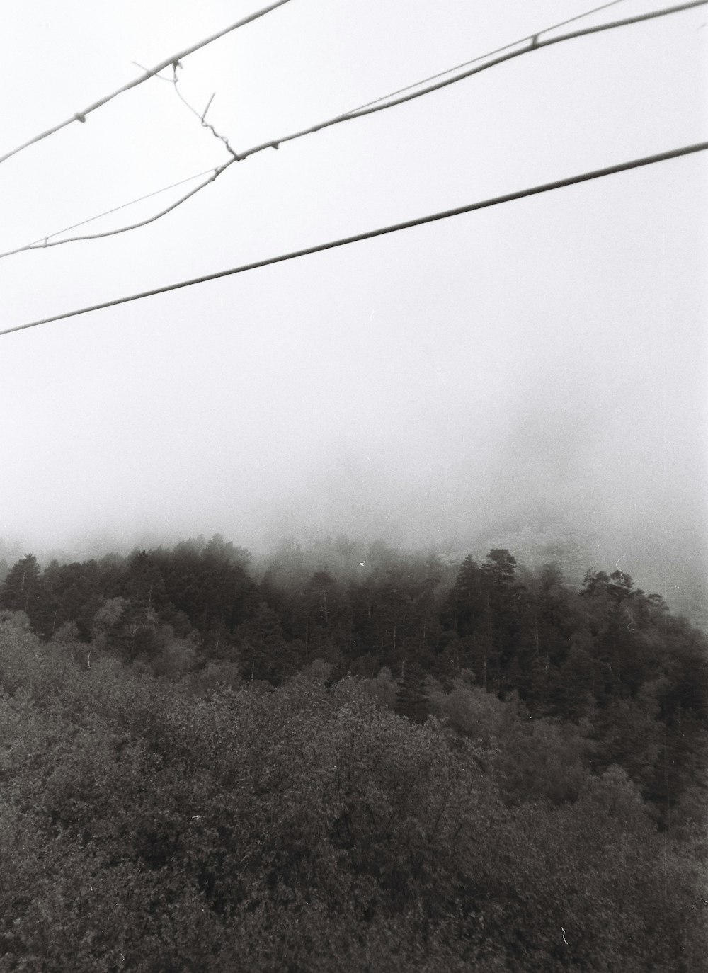 a black and white photo of a foggy hillside