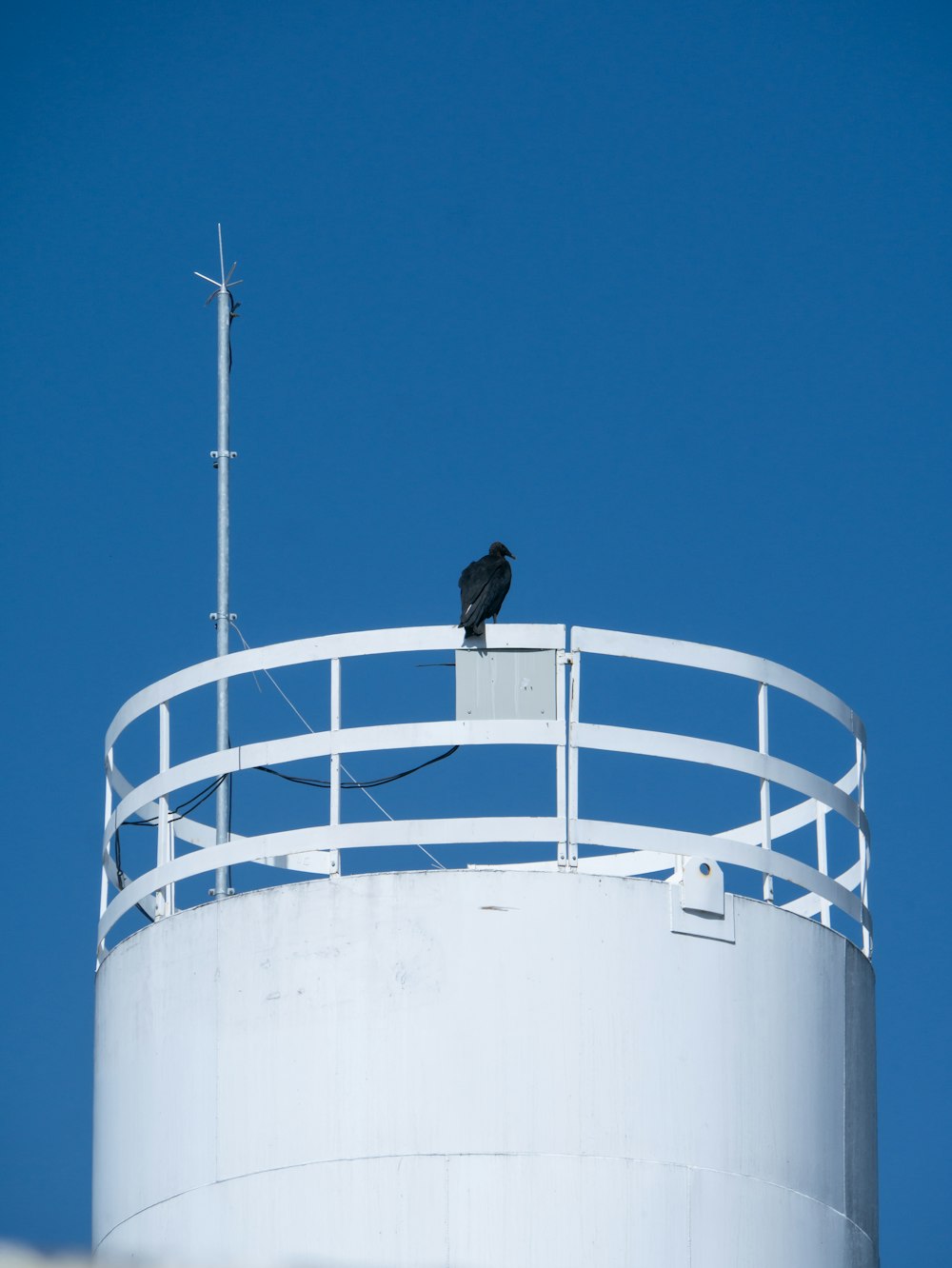 a black bird sitting on top of a white tower