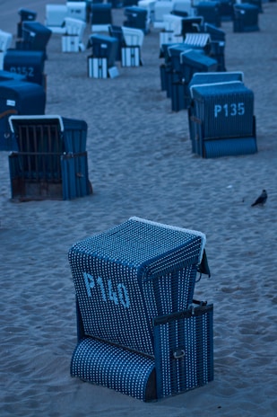 Several beach chairs with numbers painted on them are arranged in rows on the sandy beach. The chairs predominantly feature blue and white striped designs. A small bird is seen on the sand in the foreground.