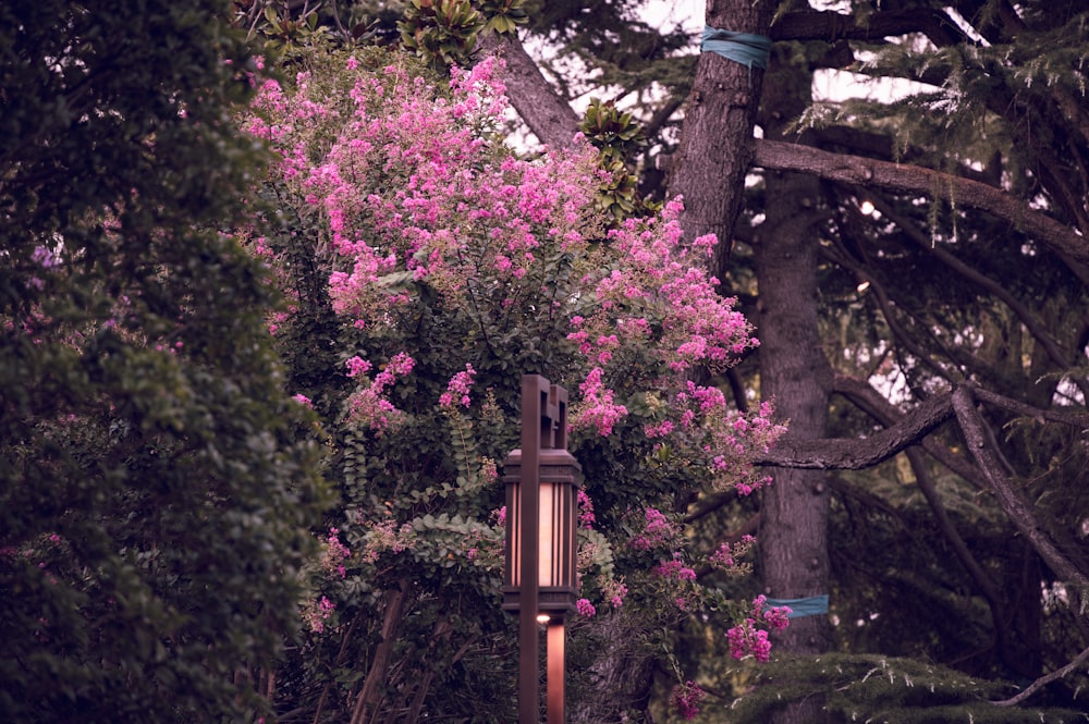 a street light surrounded by trees and flowers