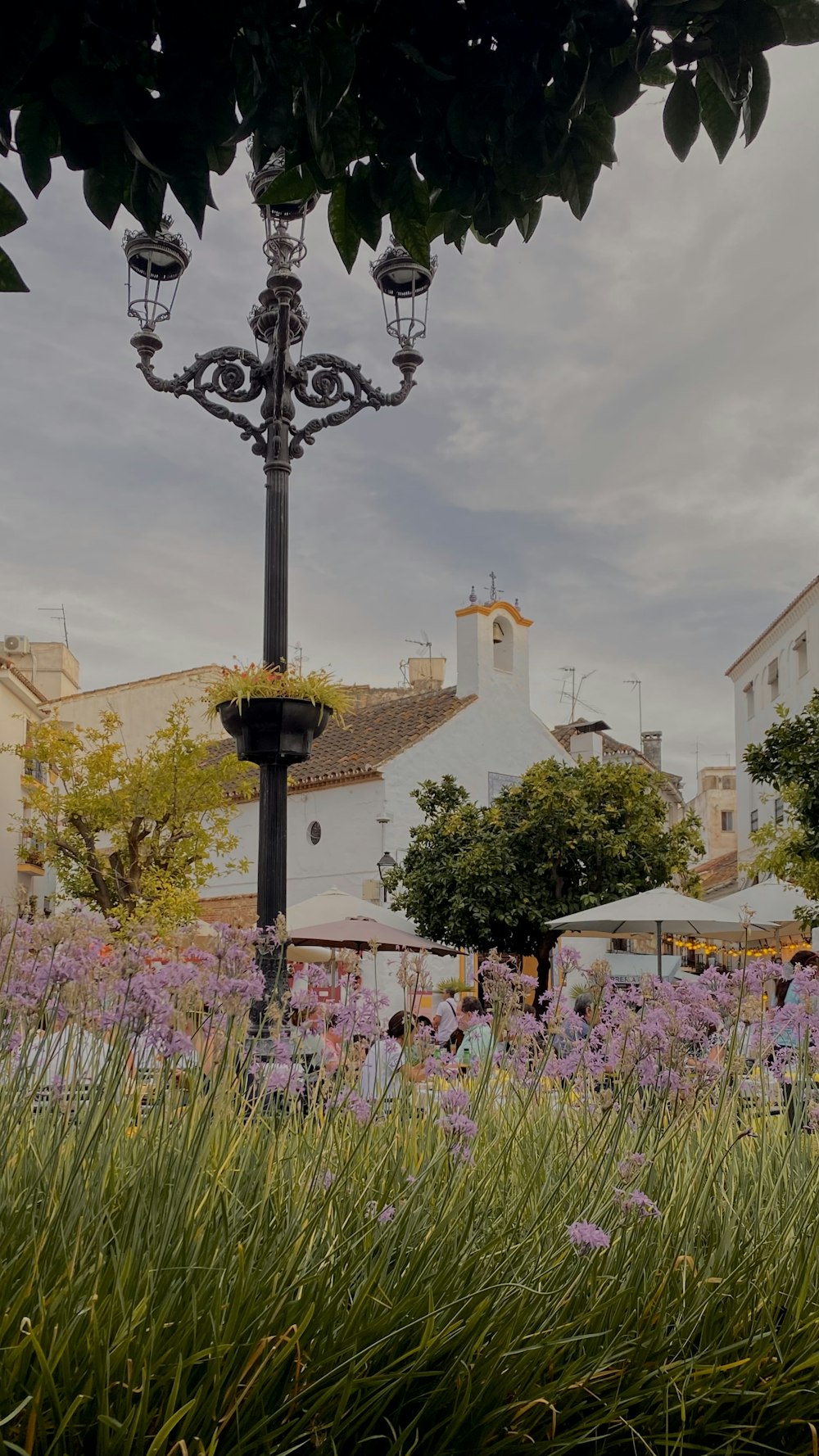 Un lampadaire dans un champ de fleurs violettes