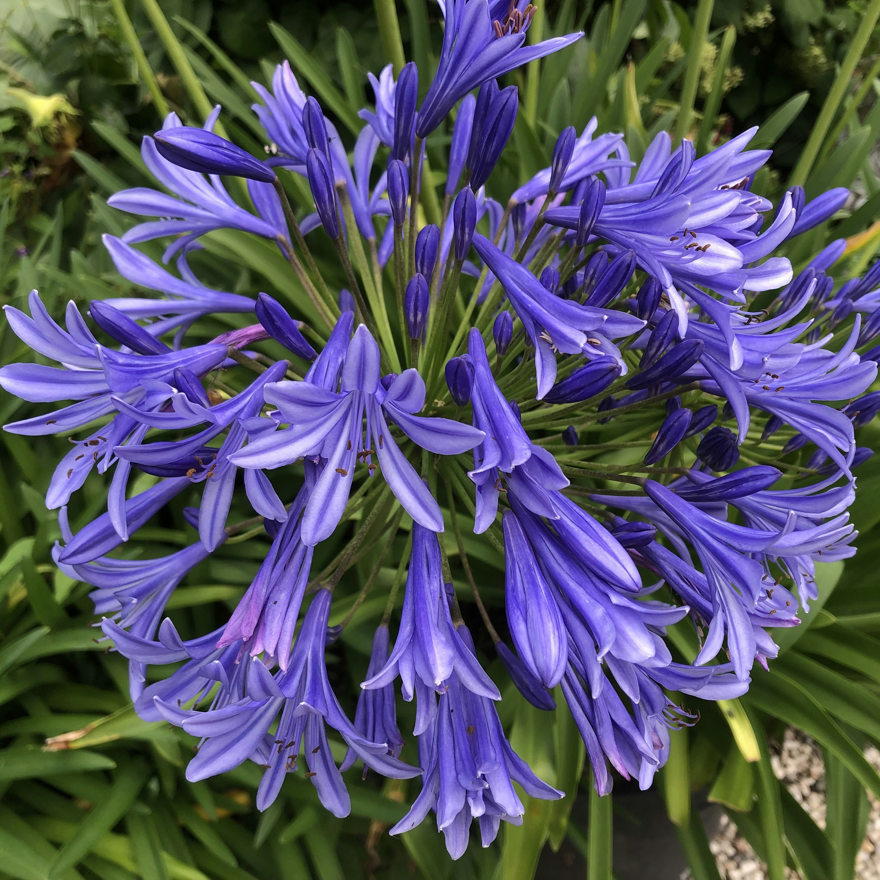 Photo by remcovanbaalen