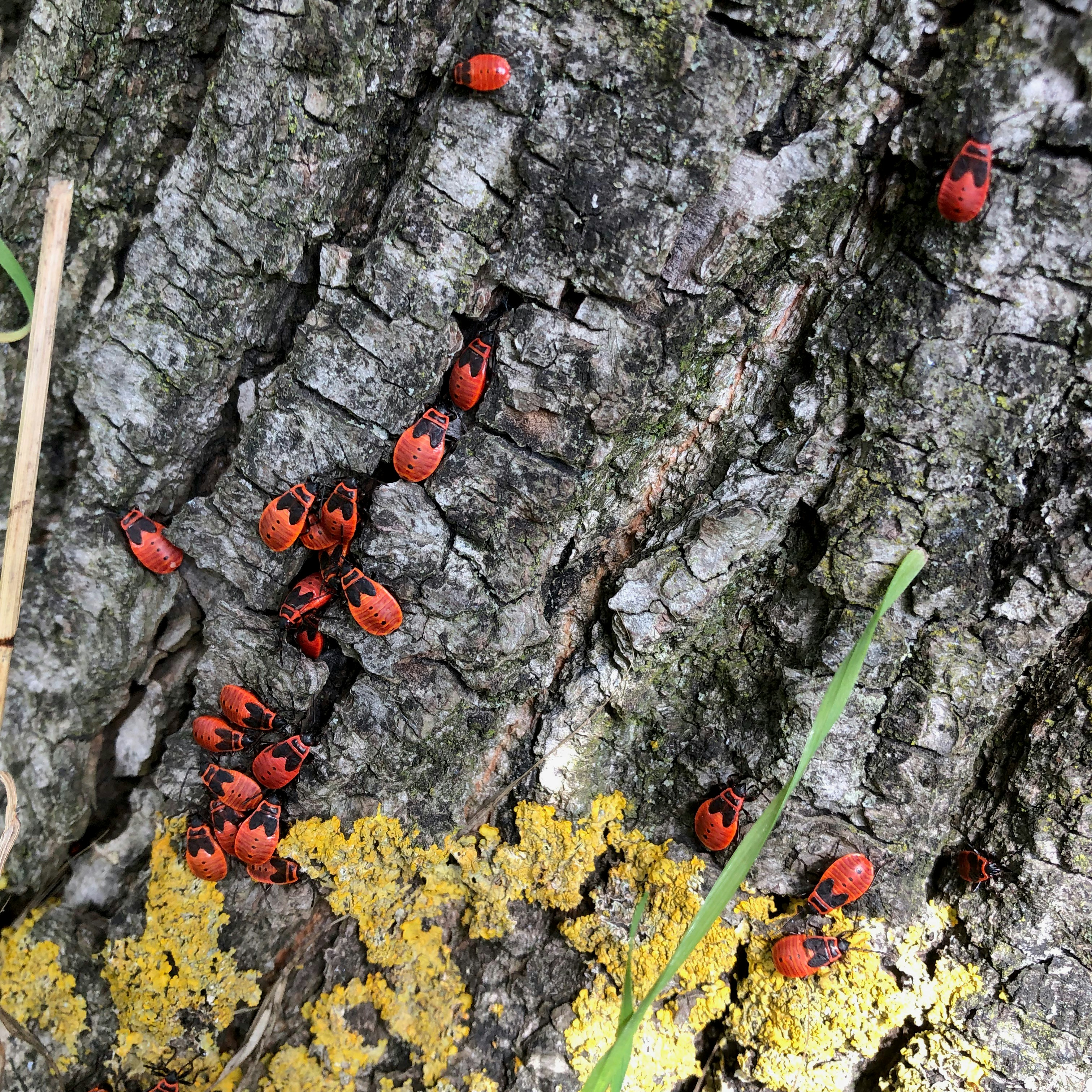 Photo by remcovanbaalen