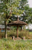A rustic outdoor setting with a thatched-roof structure supported by a wooden pole. Surrounding the structure are tree trunks serving as benches. The ground is covered in green grass and there are tall, leafy trees providing shade. In the background, a wooden building with small windows can be seen.