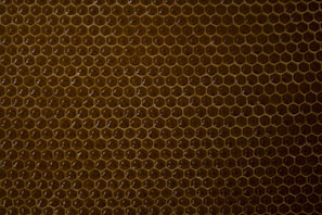 A close-up view of a honeycomb structure composed of perfect hexagonal cells. The wax cells are uniformly arranged, creating a geometric and symmetrical pattern with a warm, golden-brown color.