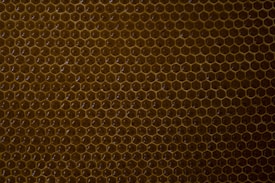 A close-up view of a honeycomb structure composed of perfect hexagonal cells. The wax cells are uniformly arranged, creating a geometric and symmetrical pattern with a warm, golden-brown color.